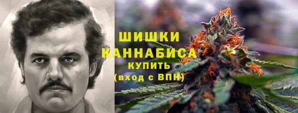 бошки Богородск
