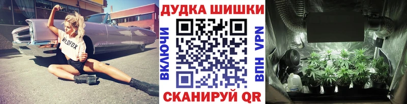 сколько стоит  Плёс  Бошки марихуана план 